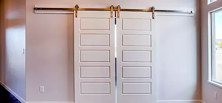 Glass Barn Door with Installation Hardware Kit Beverly